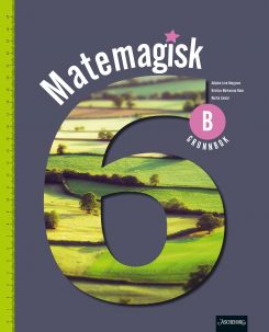 Matemagisk 6B Unibok