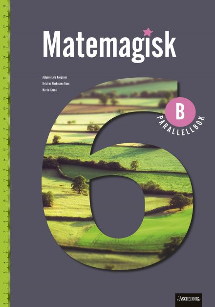 Matemagisk 6B Parallellbok